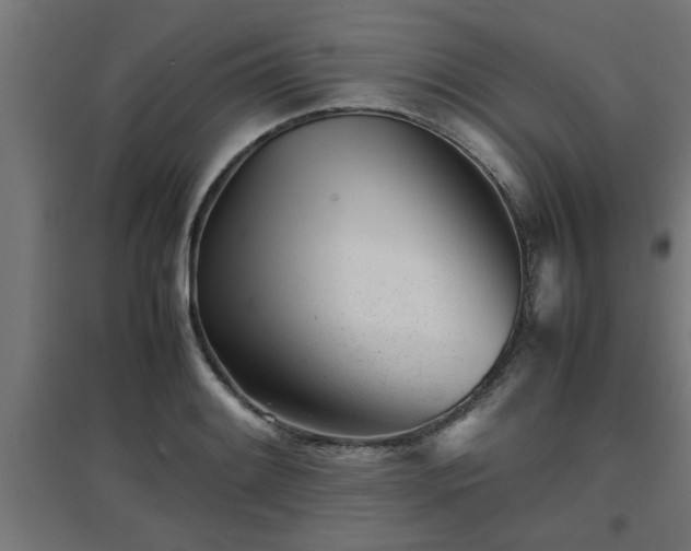 X0000094971084200712061422