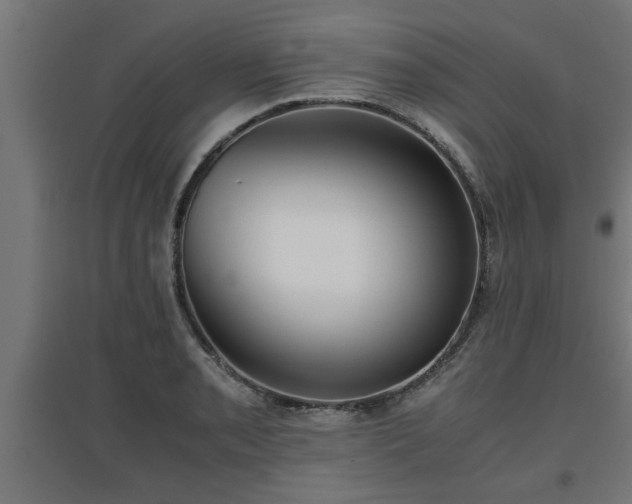 X0000094971085200712061422