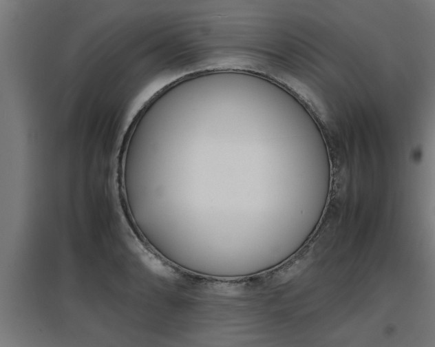 X0000094971086200712061422