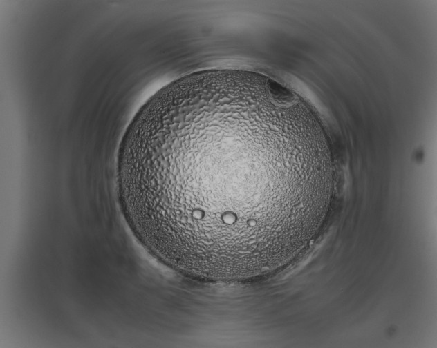 X0000094971087200712061422