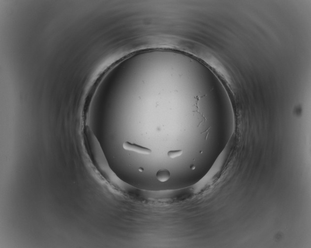 X0000094971088200712061422