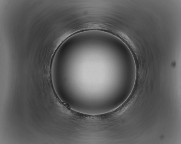 X0000094971089200712061422