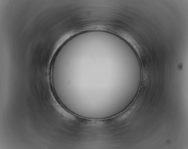 X0000094971090200712061422