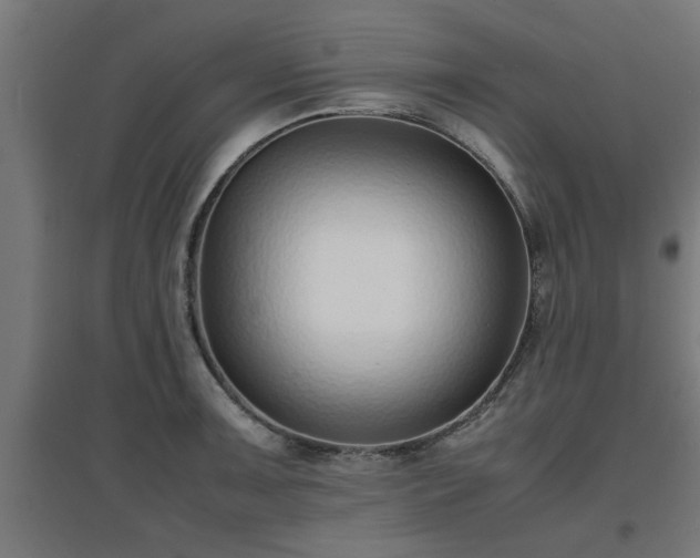 X0000094971091200712061422