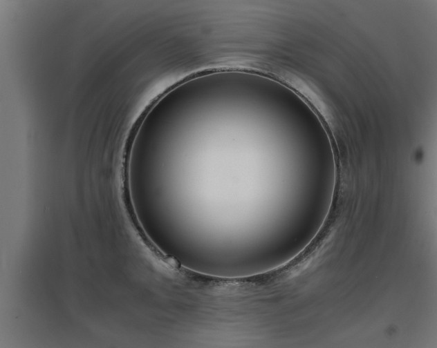 X0000094971093200712061422