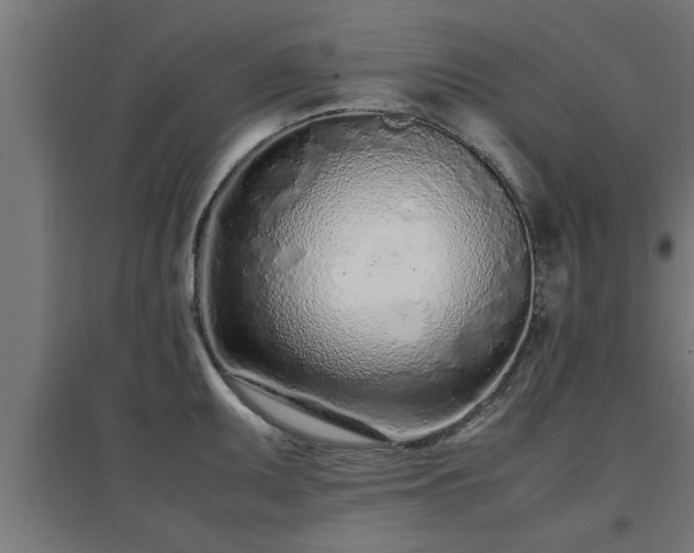 X0000094971095200712061422