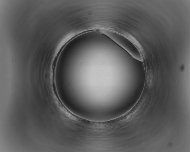 X0000094971096200712061422