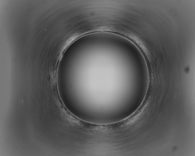 X0000094971097200712061422