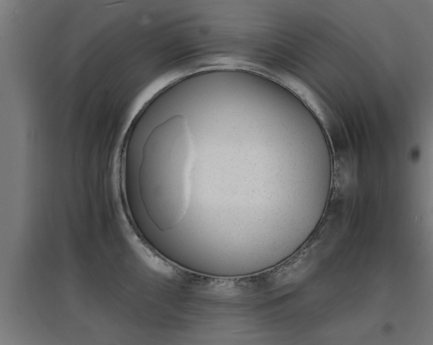 X0000094971098200712061422