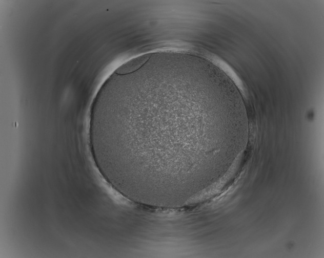 X0000094971099200712061422