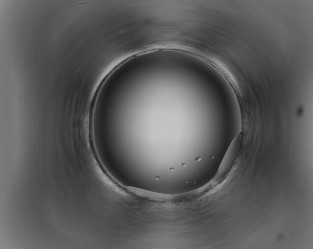 X0000094971100200712061422