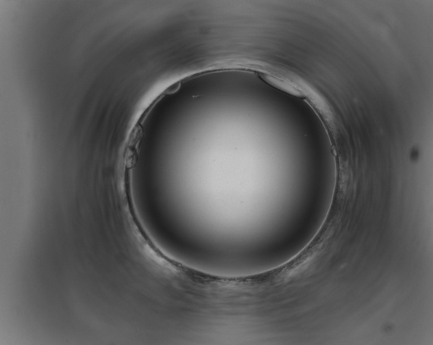 X0000094971102200712061422