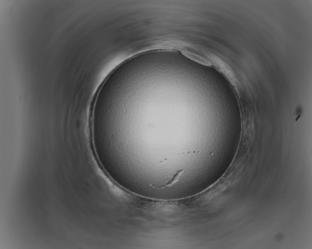 X0000094971103200712061422