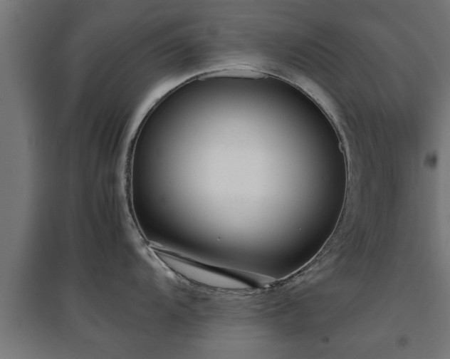 X0000094971104200712061422