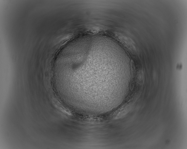 X0000094971105200712061421