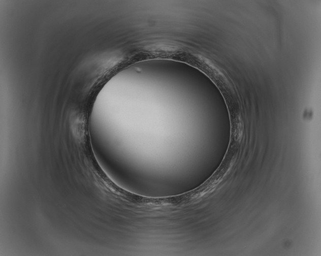 X0000094971108200712061421