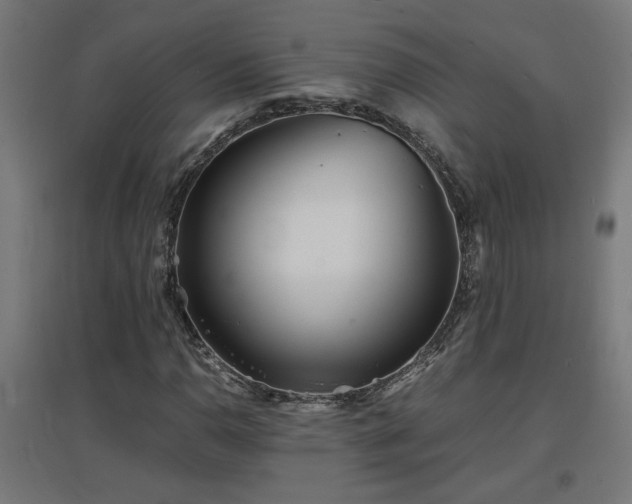 X0000094971110200712061421