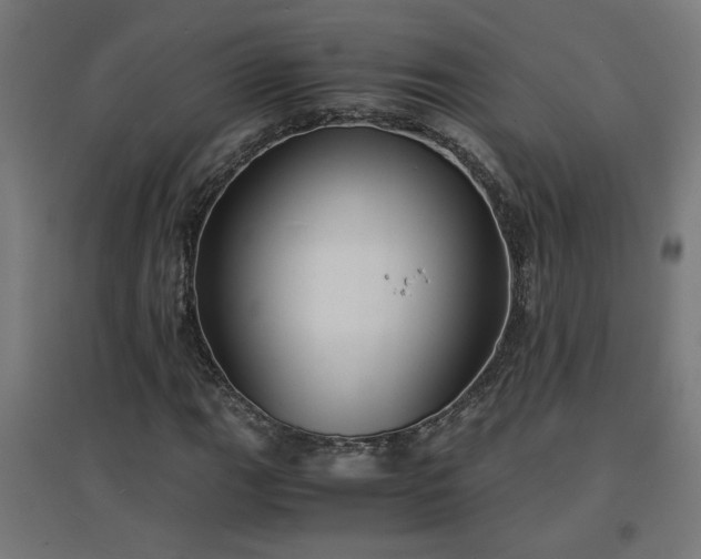 X0000094971111200712061421