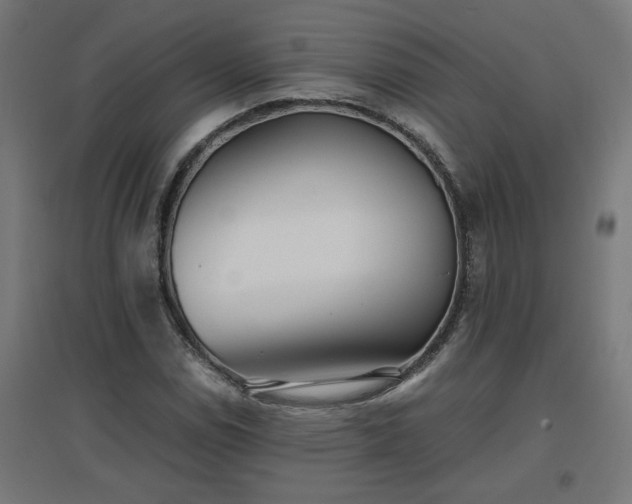 X0000094971114200712061421