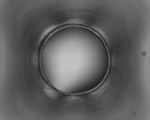 X0000094971115200712061421