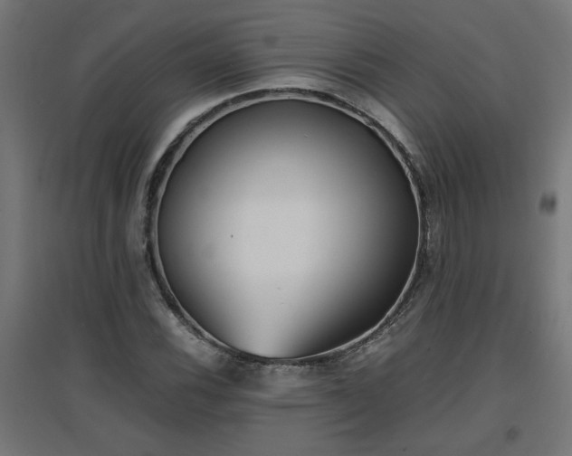 X0000094971116200712061421