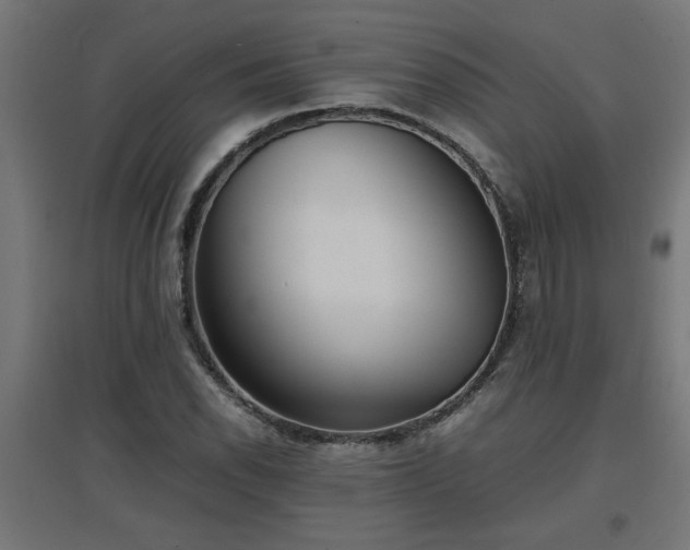 X0000094971118200712061421