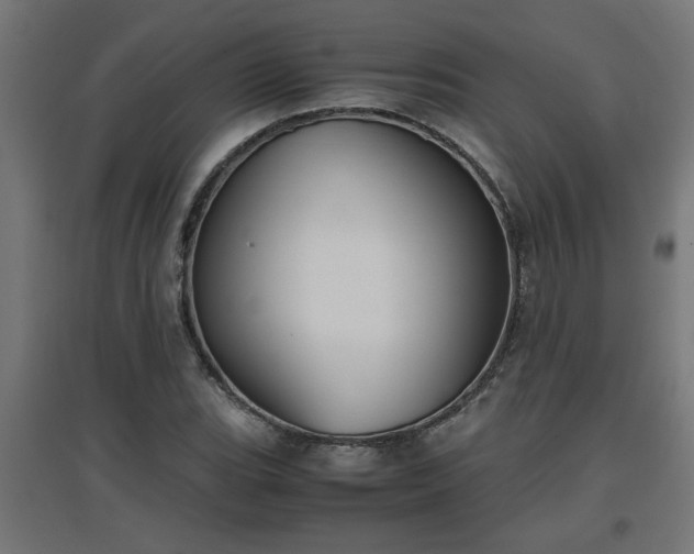 X0000094971119200712061421