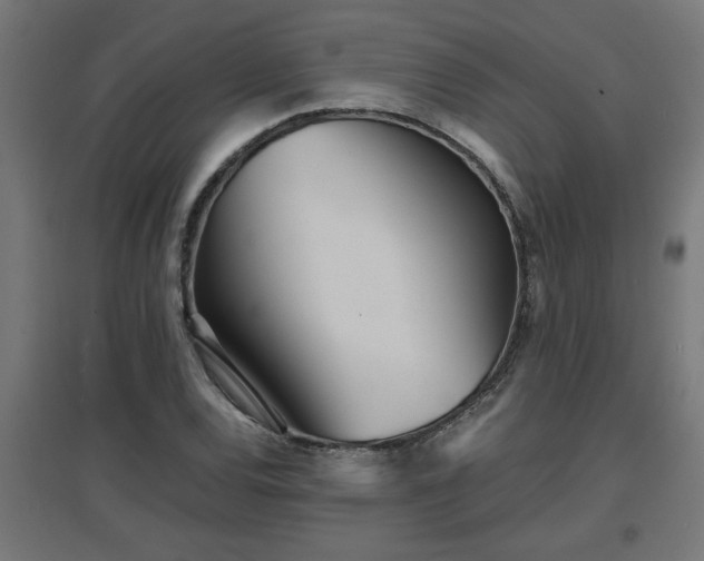 X0000094971120200712061421