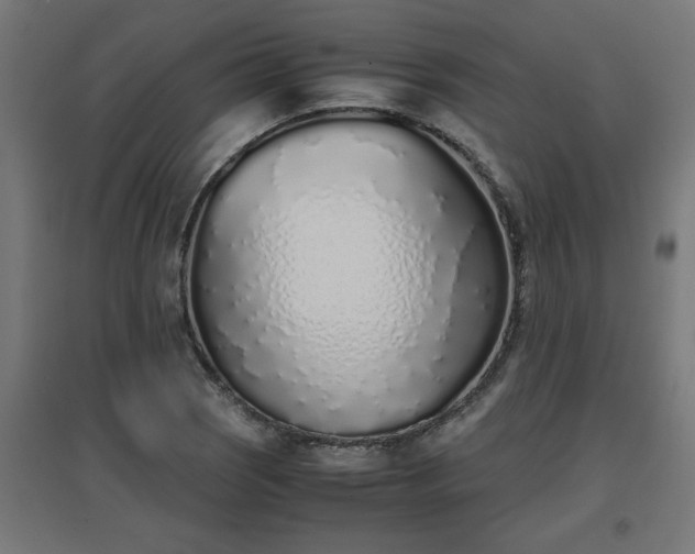 X0000094971121200712061421