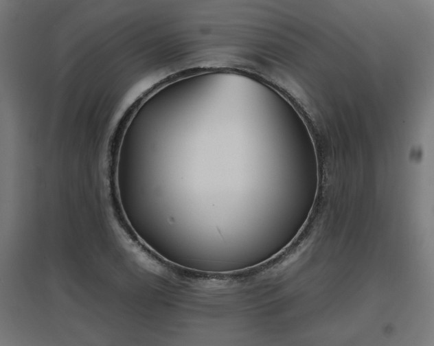 X0000094971122200712061421