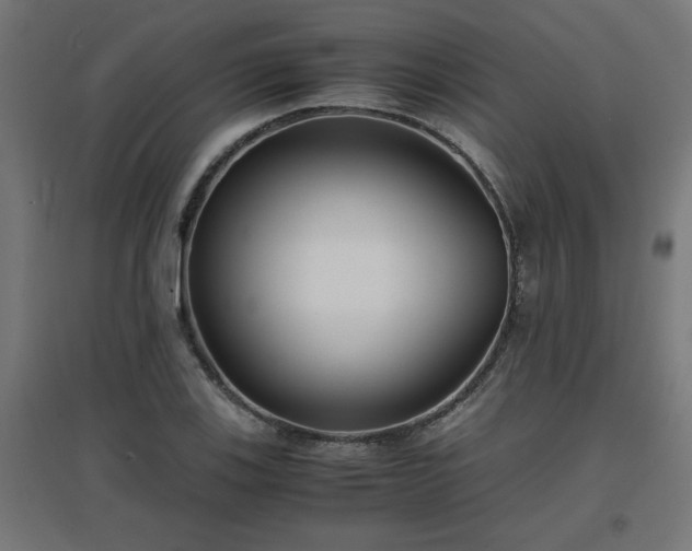 X0000094971123200712061421