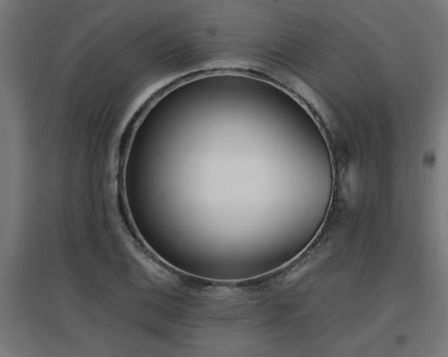 X0000094971124200712061421