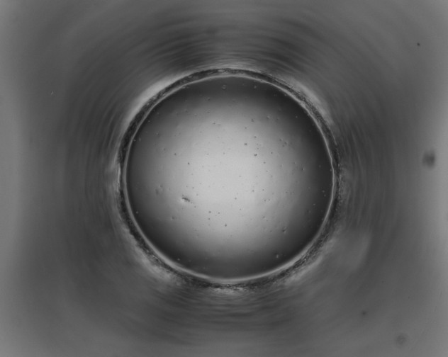 X0000094971125200712061421