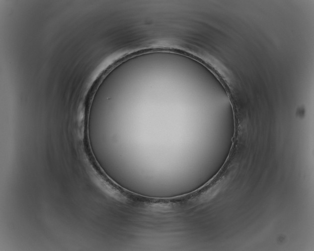 X0000094971126200712061421