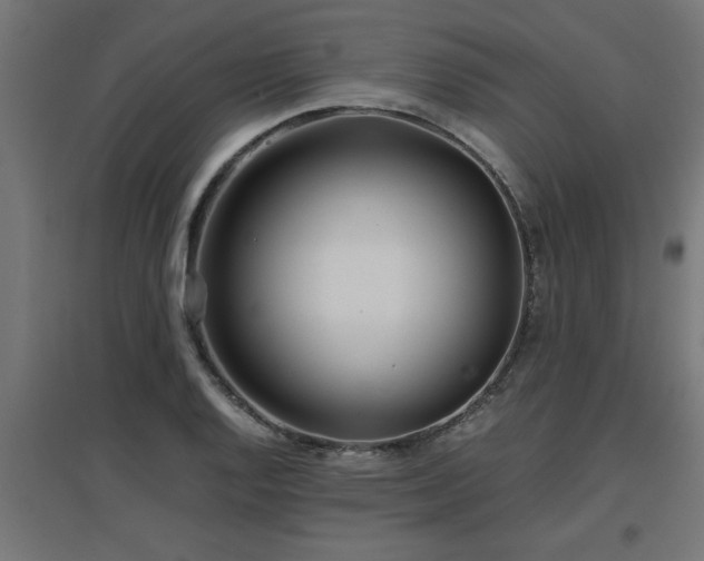 X0000094971128200712061421