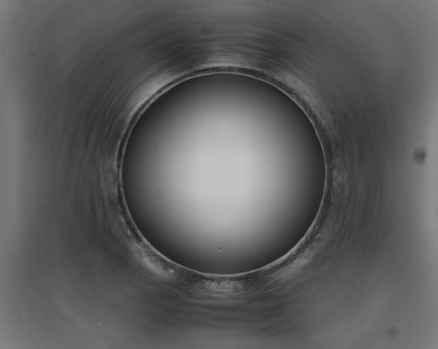 X0000094971129200712061421