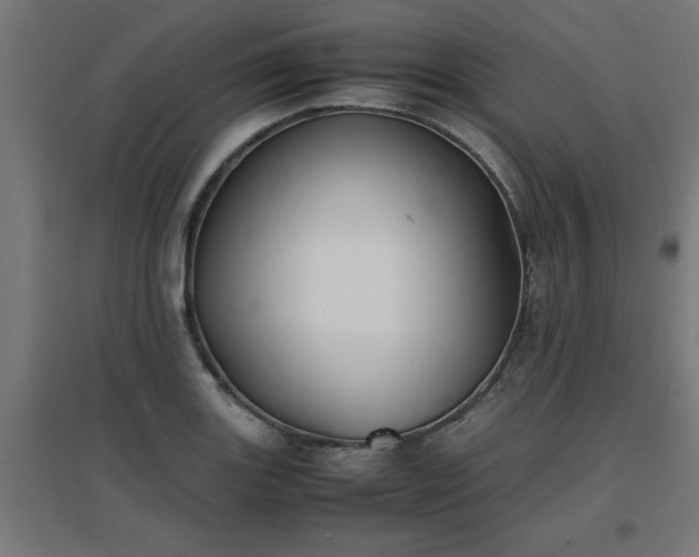 X0000094971131200712061421