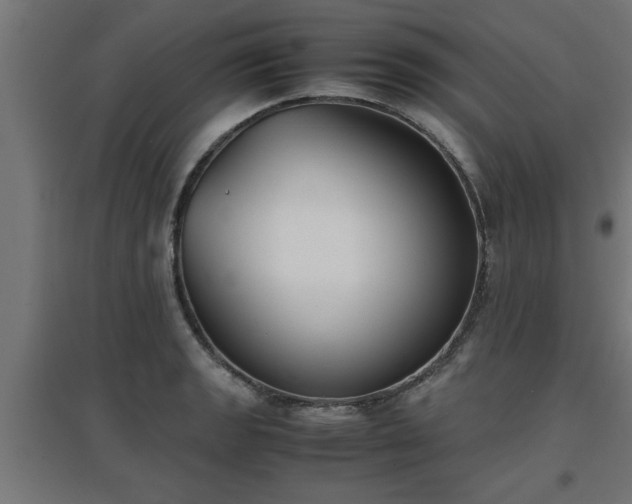 X0000094971133200712061421