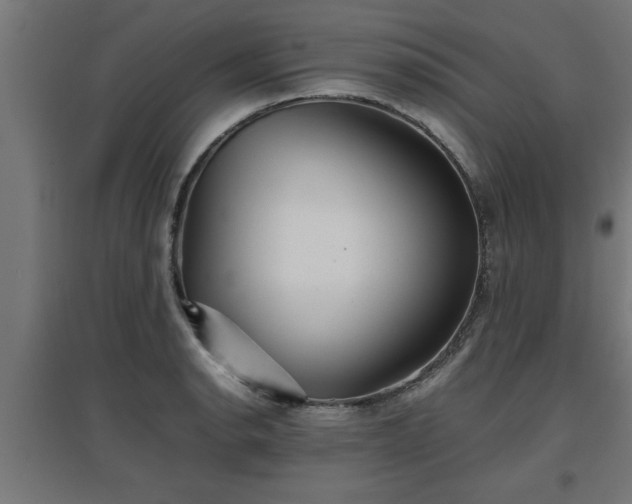 X0000094971134200712061421