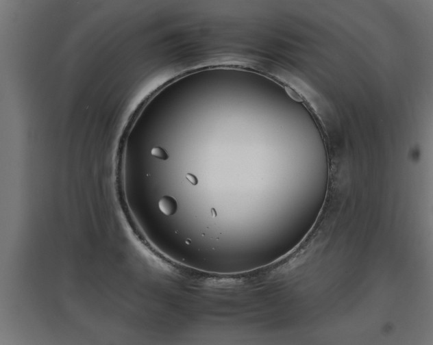 X0000094971135200712061421