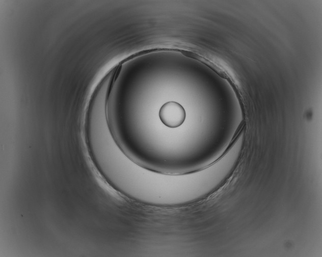 X0000094971136200712061421