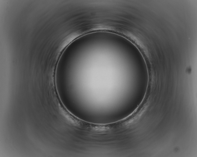 X0000094971137200712061421