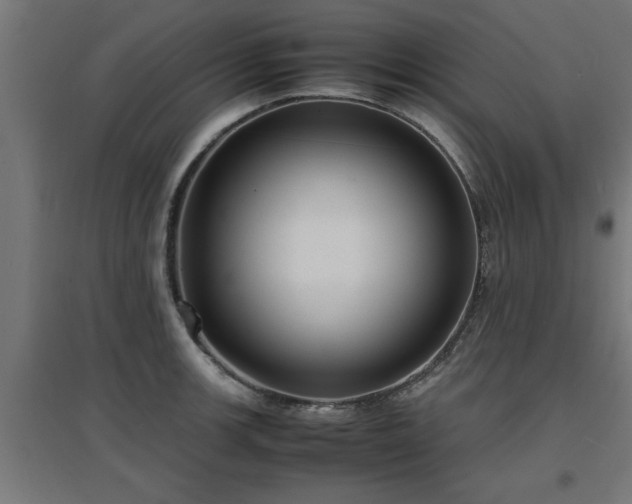 X0000094971139200712061421