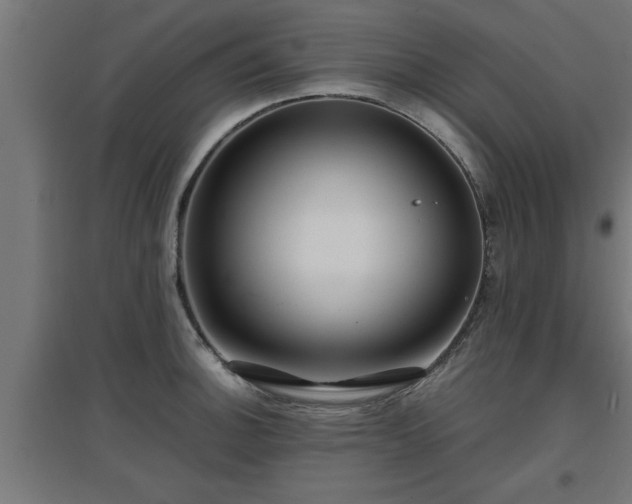 X0000094971140200712061421