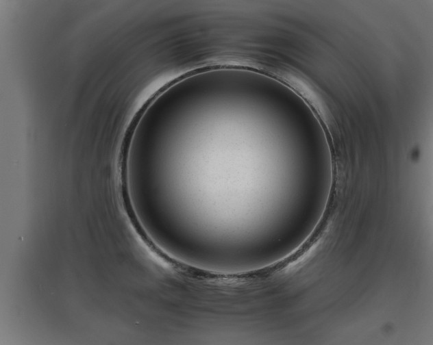 X0000094971141200712061421