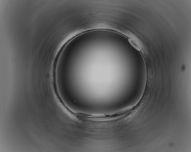 X0000094971142200712061421