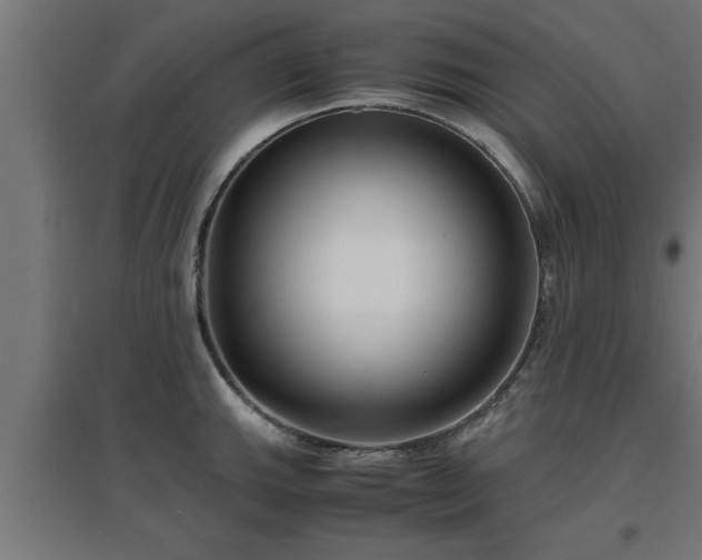 X0000094971143200712061422