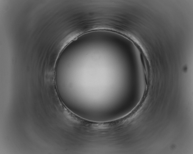 X0000094971145200712061422