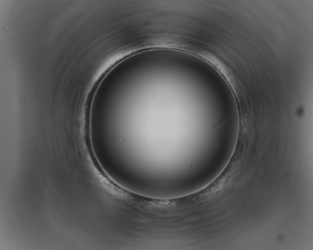 X0000094971147200712061422