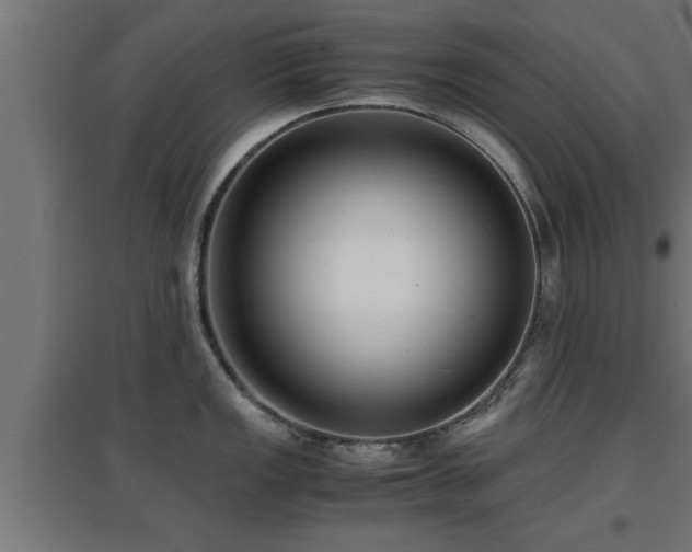 X0000094971149200712061422